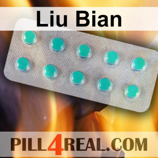 Liu Bian 223