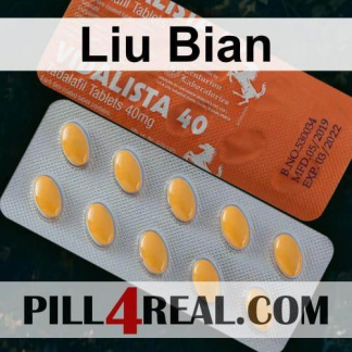 Liu Bian 242