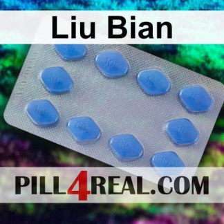 Liu Bian 267