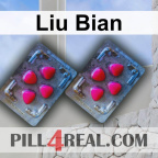 Liu Bian 446