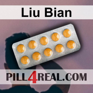 Liu Bian 463