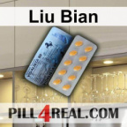 Liu Bian 473