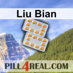 Liu Bian 503