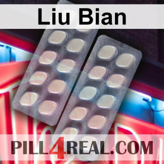 Liu Bian 538