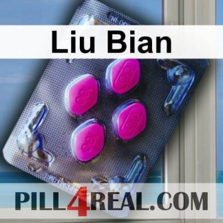 Liu Bian 592