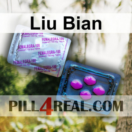 Liu Bian 607