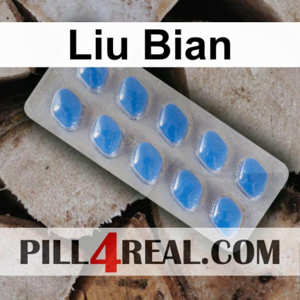 Liu Bian 624