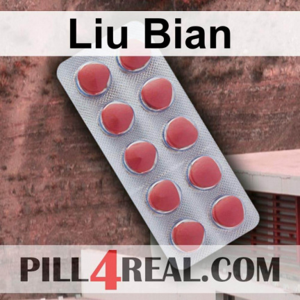 Liu Bian 668