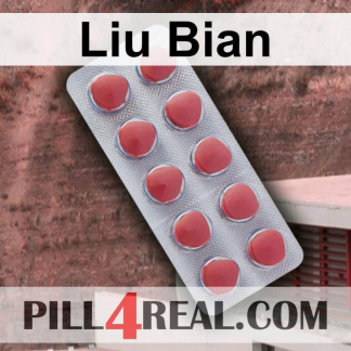 Liu Bian 668