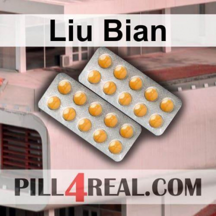 Liu Bian 701