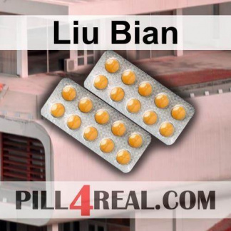Liu Bian 701