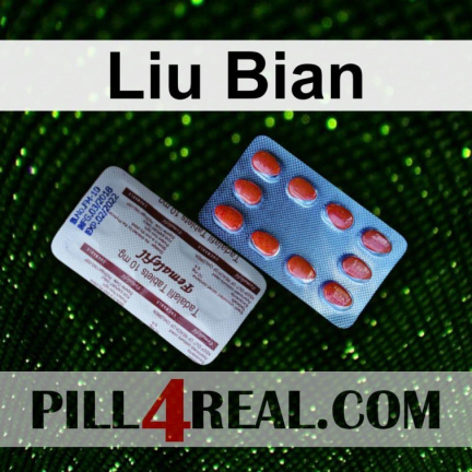 Liu Bian 705