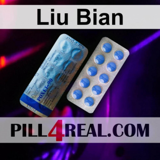 Liu Bian 728