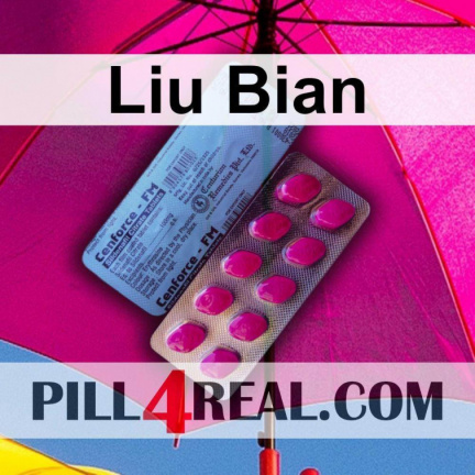 Liu Bian 743