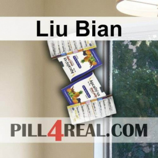 Liu Bian 785