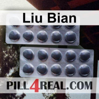 Liu Bian 786