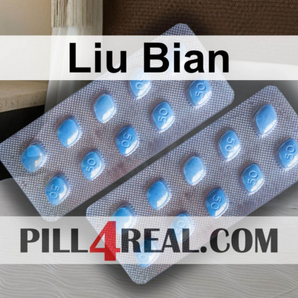 Liu Bian 926