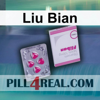 Liu Bian 930