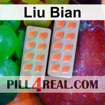 Liu Bian 954