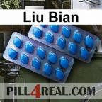 Liu Bian 972
