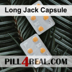Long Jack Capsule 363
