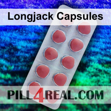 Longjack Capsules 514