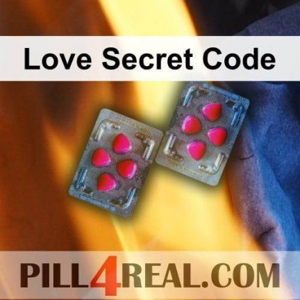 Love Secret Code 209