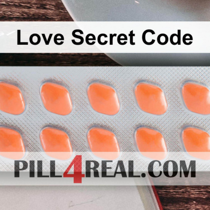 Love Secret Code 217