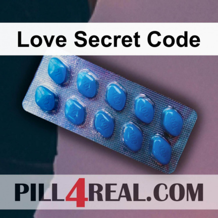 Love Secret Code 391