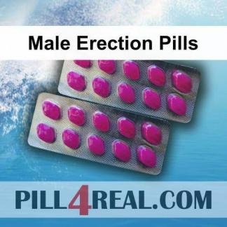 Male Erection Pills 043