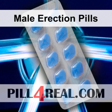 Male Erection Pills 056