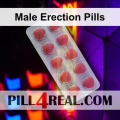 Male Erection Pills 148