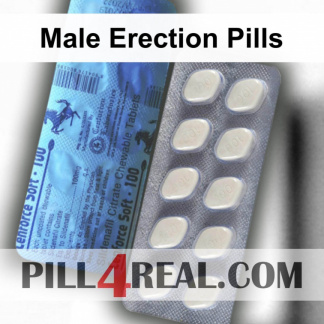 Male Erection Pills 155