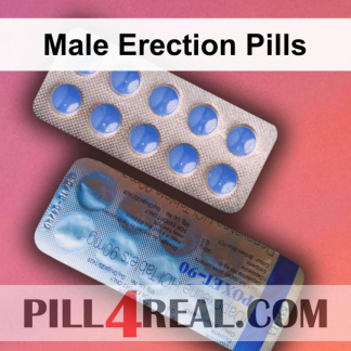 Male Erection Pills 282