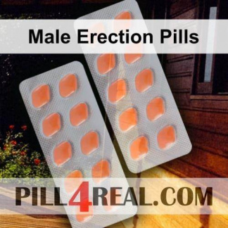 Male Erection Pills 296