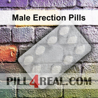 Male Erection Pills 358