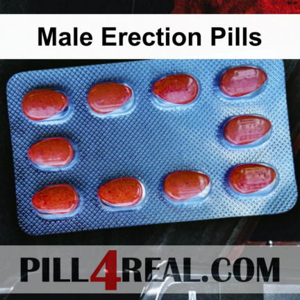 Male Erection Pills 367
