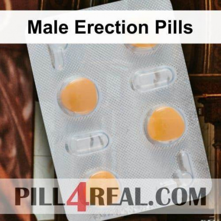 Male Erection Pills 410