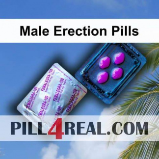 Male Erection Pills 426