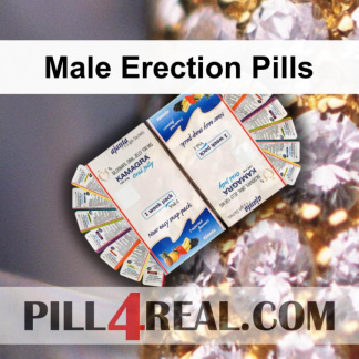 Male Erection Pills 431