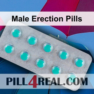 Male Erection Pills 451