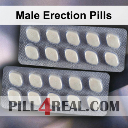 Male Erection Pills 463