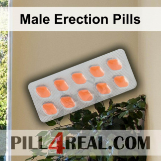 Male Erection Pills 468
