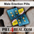 Male Erection Pills 514
