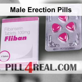 Male Erection Pills 544