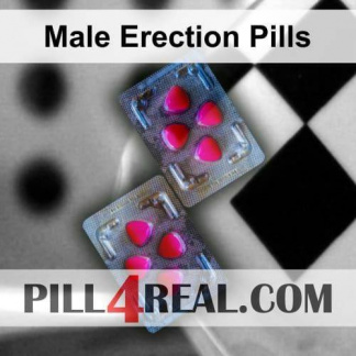 Male Erection Pills 545
