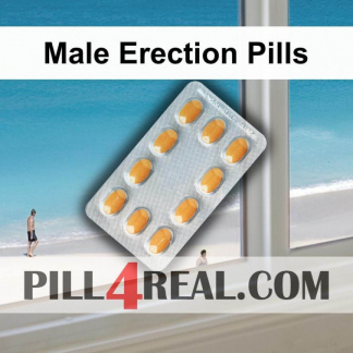 Male Erection Pills 555
