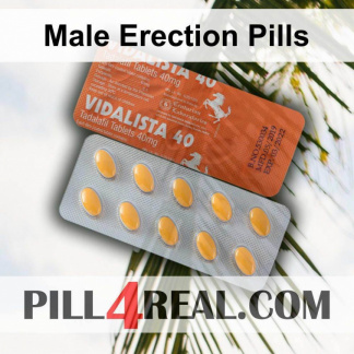 Male Erection Pills 572