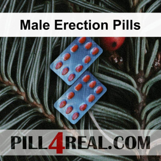 Male Erection Pills 592