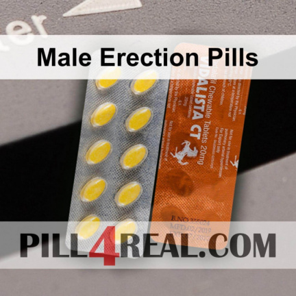 Male Erection Pills 595
